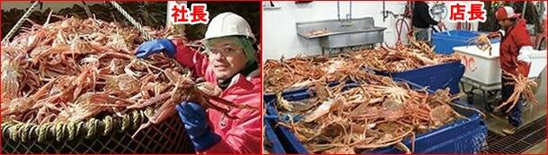 カニ カナダ産とロシア産の違い